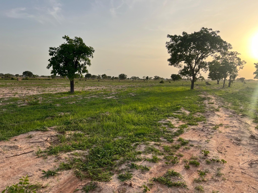 Plan B Club Tamale Ghana jord faciliteter træning uddannelse sport