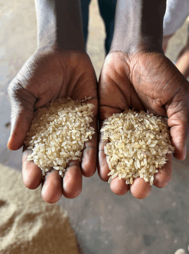 Plan B Club Randers Realskole Ghana FANT HOPin Academy dannelsesrejse Tomuya Farms risfarm